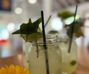 cocktails