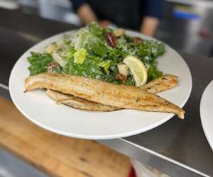 Fresh Fish and Salad